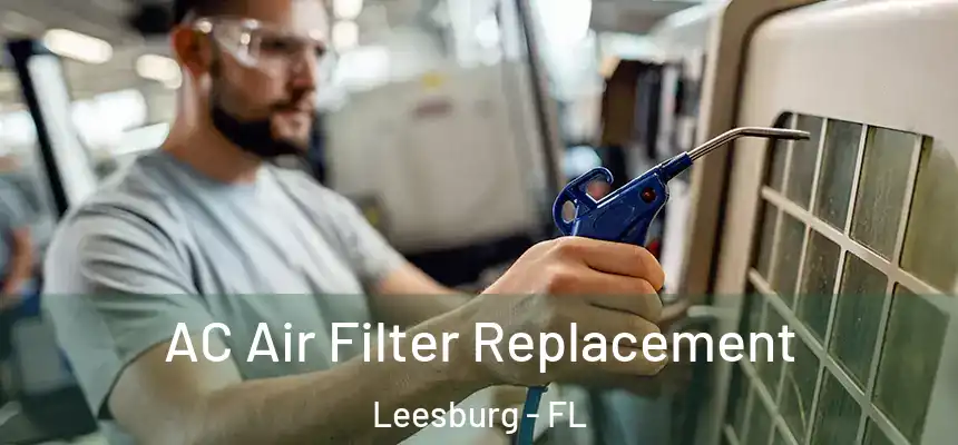 AC Air Filter Replacement Leesburg - FL