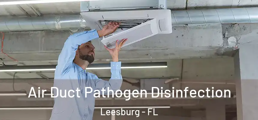 Air Duct Pathogen Disinfection Leesburg - FL