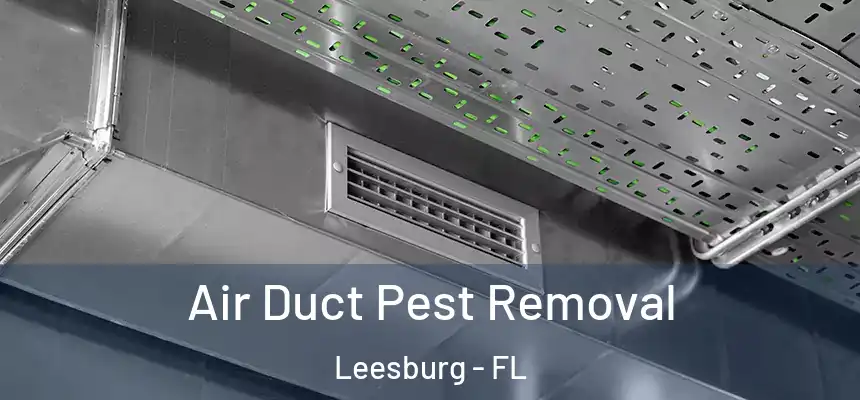  Air Duct Pest Removal Leesburg - FL