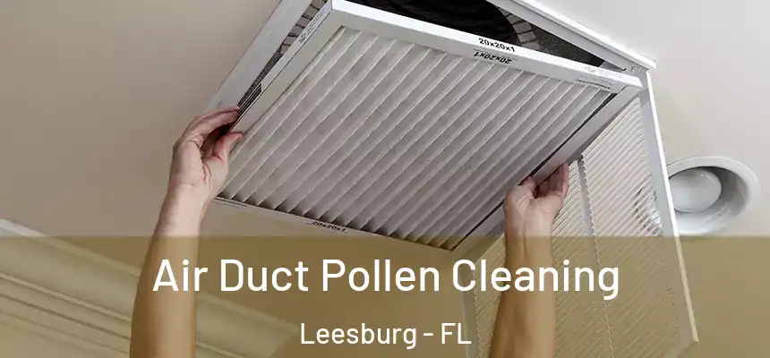 Air Duct Pollen Cleaning Leesburg - FL