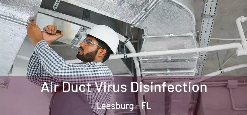 Air Duct Virus Disinfection Leesburg - FL