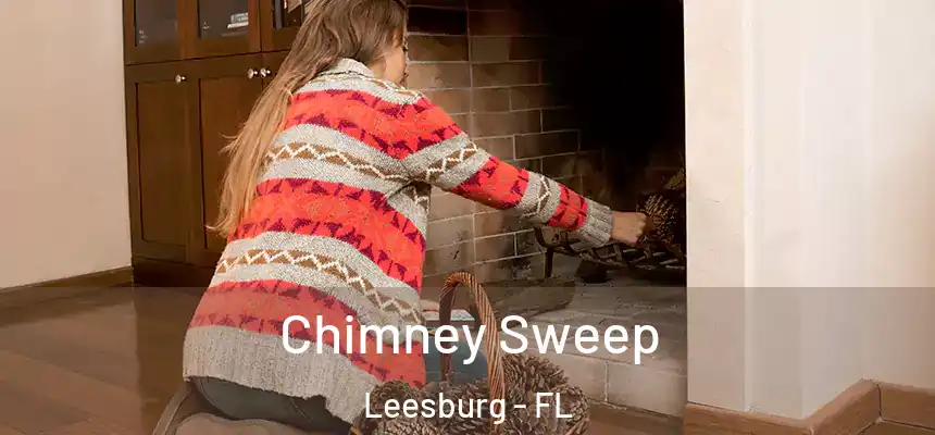 Chimney Sweep Leesburg - FL