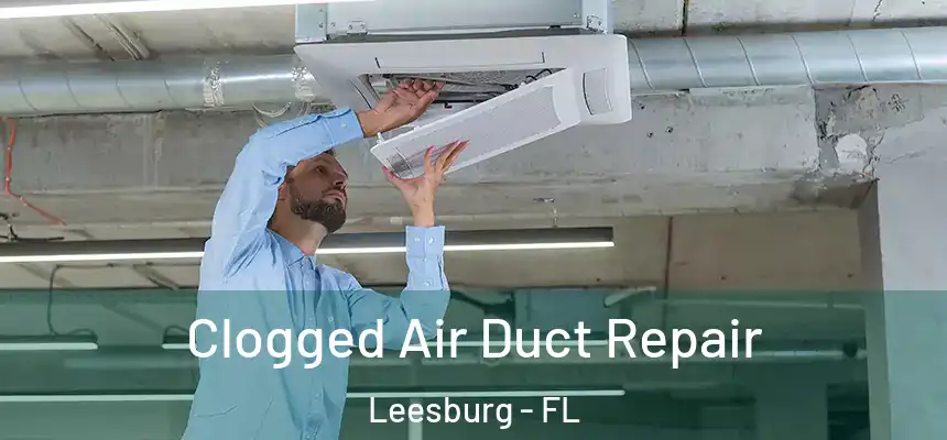 Clogged Air Duct Repair Leesburg - FL