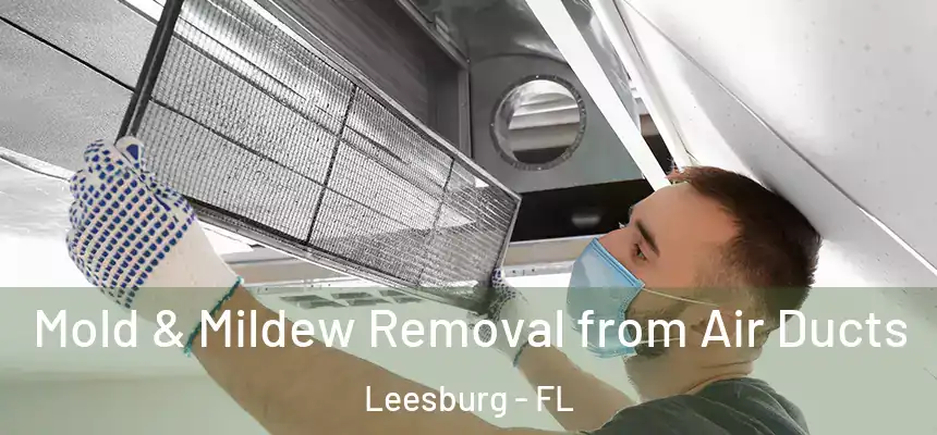 Mold & Mildew Removal from Air Ducts Leesburg - FL