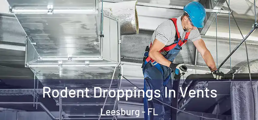 Rodent Droppings In Vents Leesburg - FL