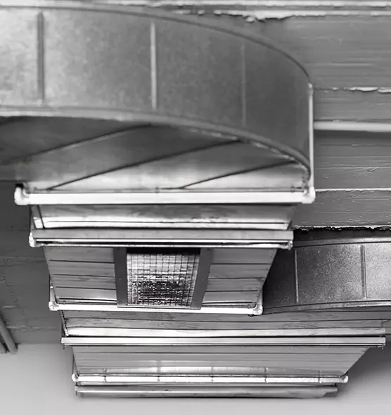 Professional Air Duct Pet Hair Removal in Leesburg, FL