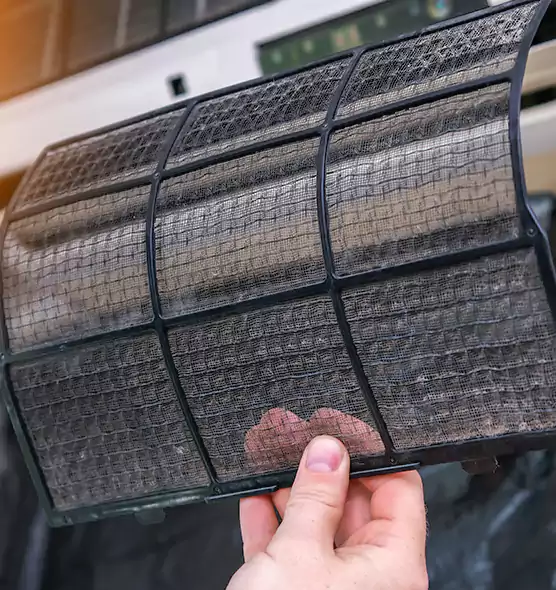 About Pet Dander Duct Cleaning in Leesburg, FL